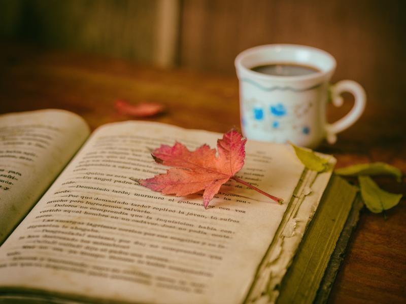 Billedet forestiller en opslået bog med et par smukke efterårsblade samt en kaffekop.